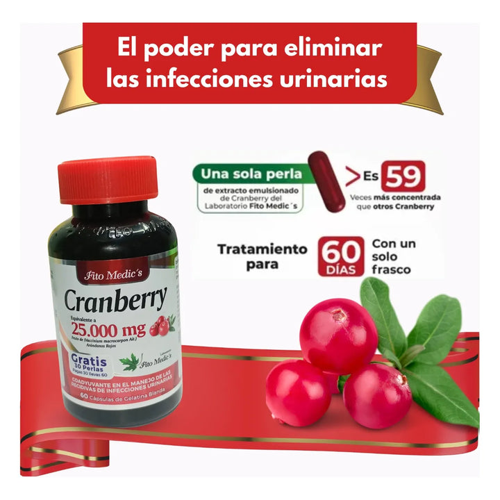 Cranberry Arandano Alta Calidad - Imagen 4