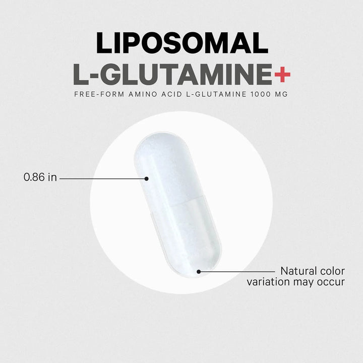 Cápsulas Liposomales De L-glutamina 1000 Mg 90 Cápsulas Para - Imagen 6