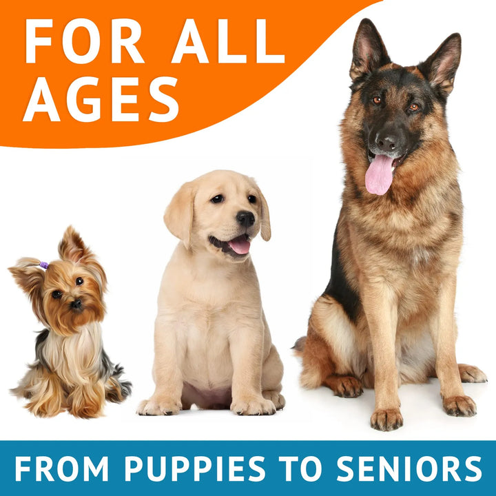 Aceite De Pescado Omega 3 Masticables Para Perros 360 Unidad - Imagen 6