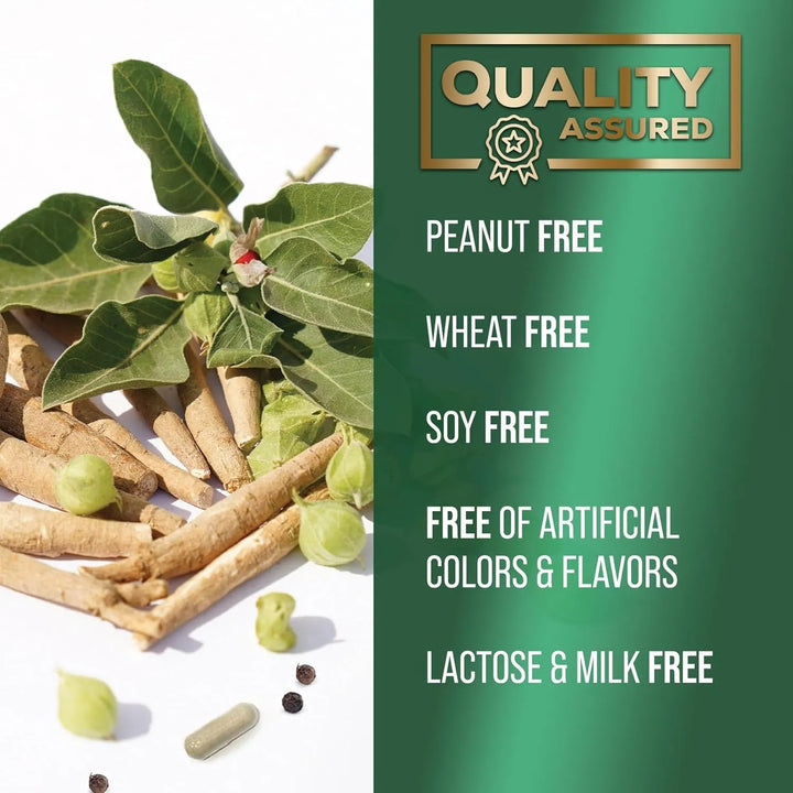 Ashwagandha Orgánica 1950 Mg Fuerte Apoyo Relajación Bioperi - Imagen 7