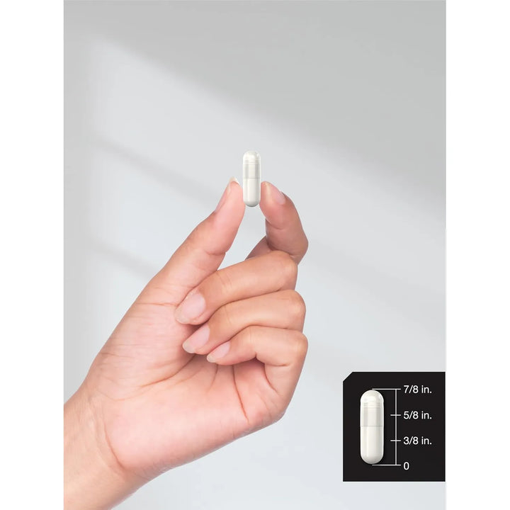 Cápsulas Msm 1500 Mg 240 Unidades Fórmula Natural Para Artic - Imagen 8