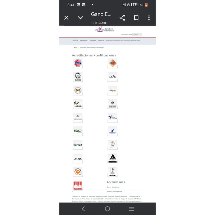 Gano Café 3en1 (pack X 2 Cajas) Cafe Tipo Capuccino - Imagen 2