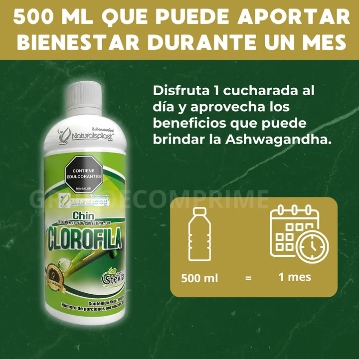 Clorofila Liquida Pura Plus 1 Natural - Imagen 6