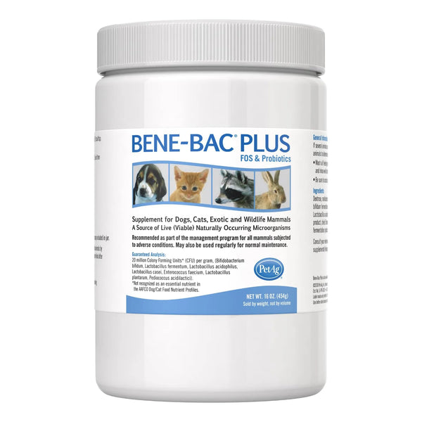 Bene Bac Plus Polvo 1 Libra FOS Probióticos Para Perros Gatos Mamíferos