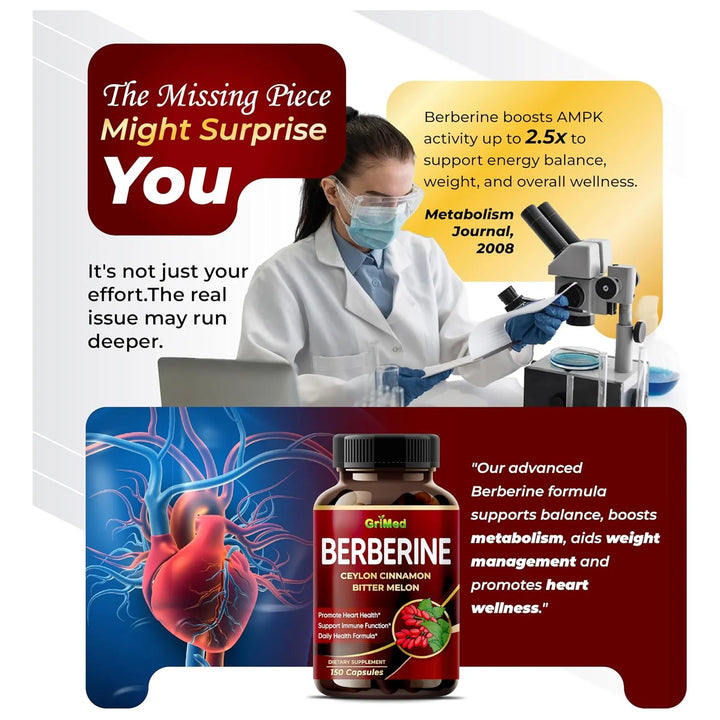 Berberina 9500 Mg Melón Amargo Canela De Ceilán Apoyo Inmuno - Imagen 3