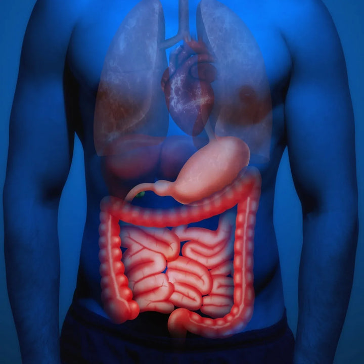 Citrato De Magnesio + Omega 3 - Imagen 10