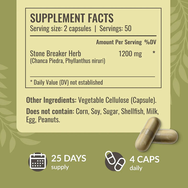 Cápsulas Chanca Piedra 1200 Mg Para Cálculos Renales Y Limpi - Imagen 3