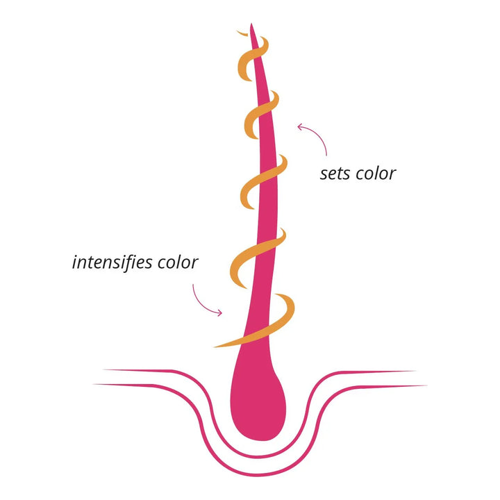 Aceite Capilar Natural Tratamiento Color Brillo Protección U - Imagen 3