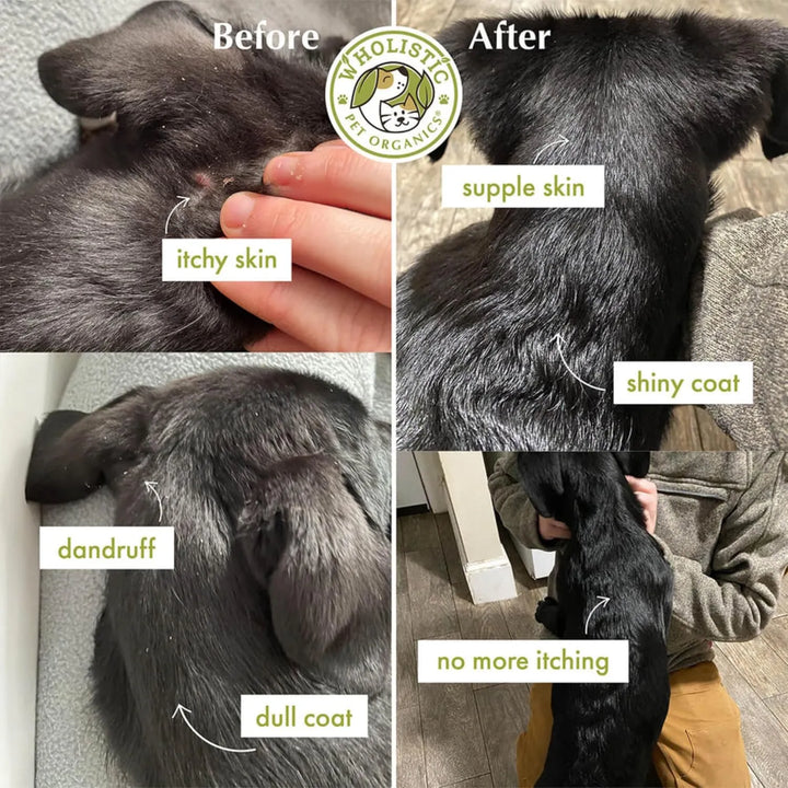 Aceite De Salmón Salvaje De Alaska Para Perros 100 Geles Sua - Imagen 7