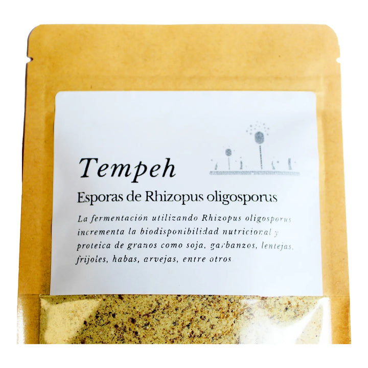 Tempeh | Cultivo De Proteina Fermento - Imagen 3