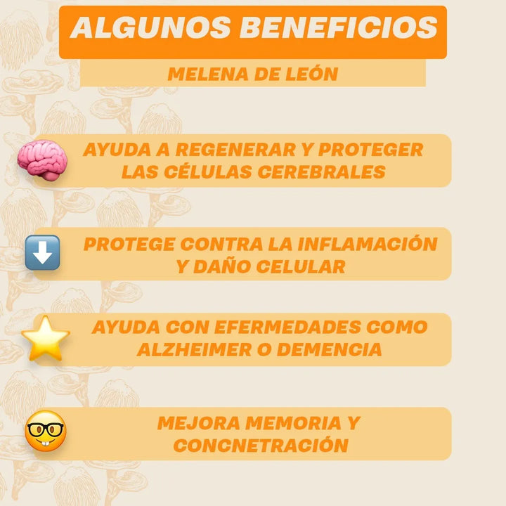 Melena De Leon Polvo + Ganoderma Lucidum + Hongo Chitake 450 Gramos Puro- Sabor Capuchino - Imagen 6