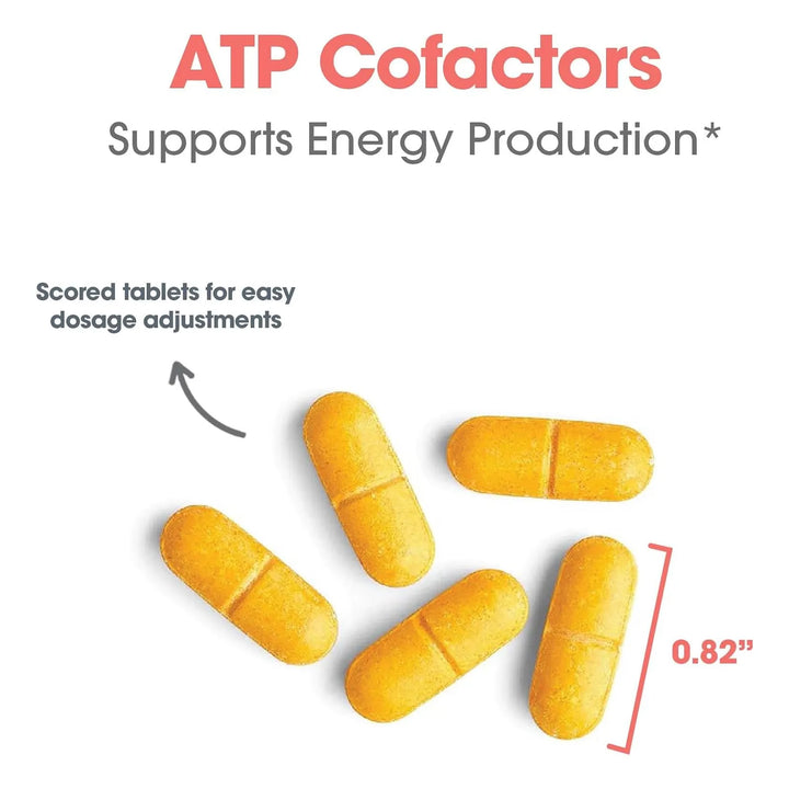Complejo Vitamínico B Alta Potencia 90 Tabletas Riboflavina - Imagen 5