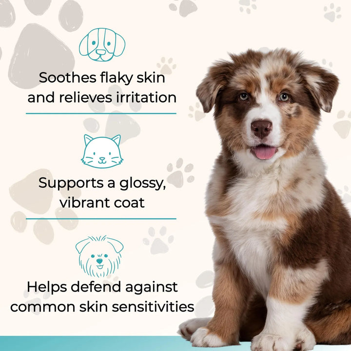Aceite De Salmón Salvaje De Alaska Para Perros Y Gatos Omega - Imagen 5