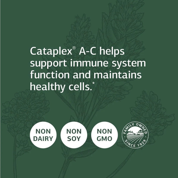 Apoyo Inmunológico Alimentos Integrales Vitamina C Antioxida - Imagen 3
