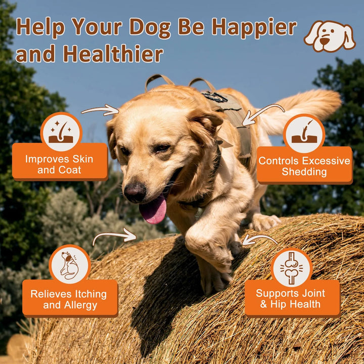 Aceite De Pescado Omega 3 Para Perros Piel Y Pelaje Saludabl - Imagen 2