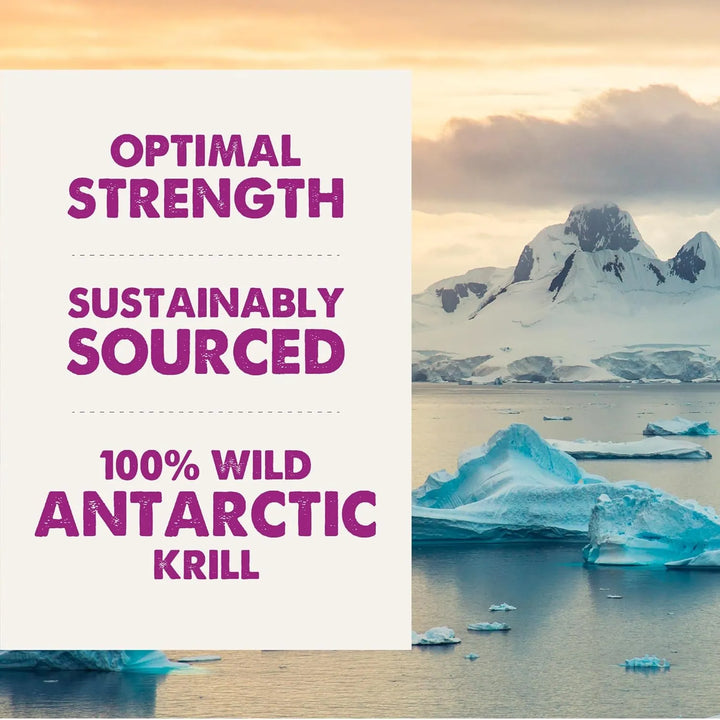 Aceite De Krill Antártico Natural Antioxidante Para Perros 2 - Imagen 9