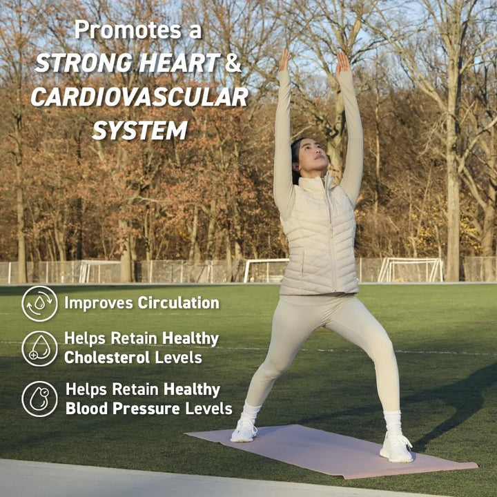 Cápsulas De Cacao 500 Mg Para Salud Cardiovascular Y Circula - Imagen 3