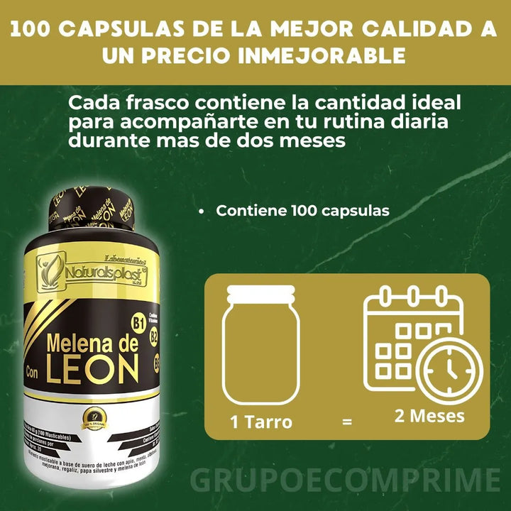 Melena De Leon Organica Hongo Natural - Imagen 2