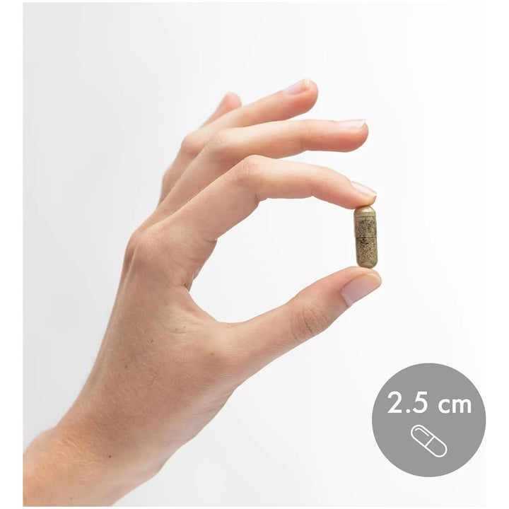 Apoyo Inmunológico Herbáceo 90 Cápsulas 30 Porciones Salud I - Imagen 6
