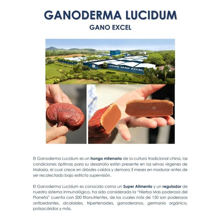 Gano Café 3en1 (pack X 2 Cajas) Cafe Tipo Capuccino - Imagen 6