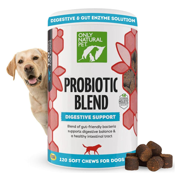 Suplemento Probiótico Solo Natural Para Perros Y Gatos Salud Digestiva