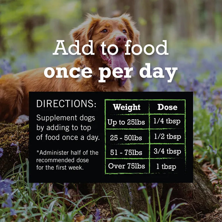 Aceite De Omega 3 Para Perros 227 Gramos Cuidado Piel Pelaje - Imagen 7