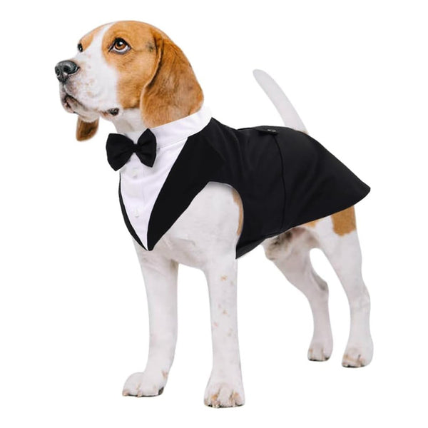 Esmoquin Para Perros Kuoser Elegante Con Paliacate Ideal Para Bodas Y Fiestas