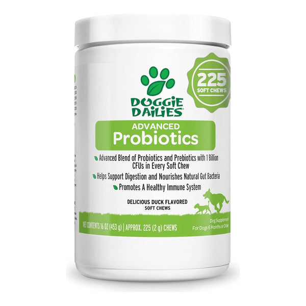 Doggie Dailies Probióticos Para Perros Salud Digestiva Y Bienestar General