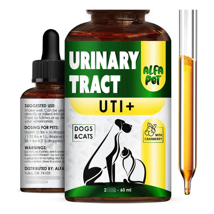 Tratamiento Eficaz Para Infecciones Urinarias En Perros Y Ga - Imagen 1