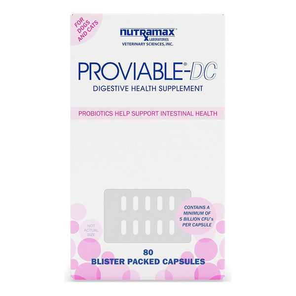 Nutramax Proviable Dc Suplemento Para Salud Intestinal En Perros Y Gatos