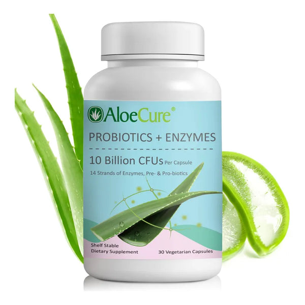 Capsulas Probioticas Con Enzimas Y Prebioticos 24 Mil Millones Salud Digestiva