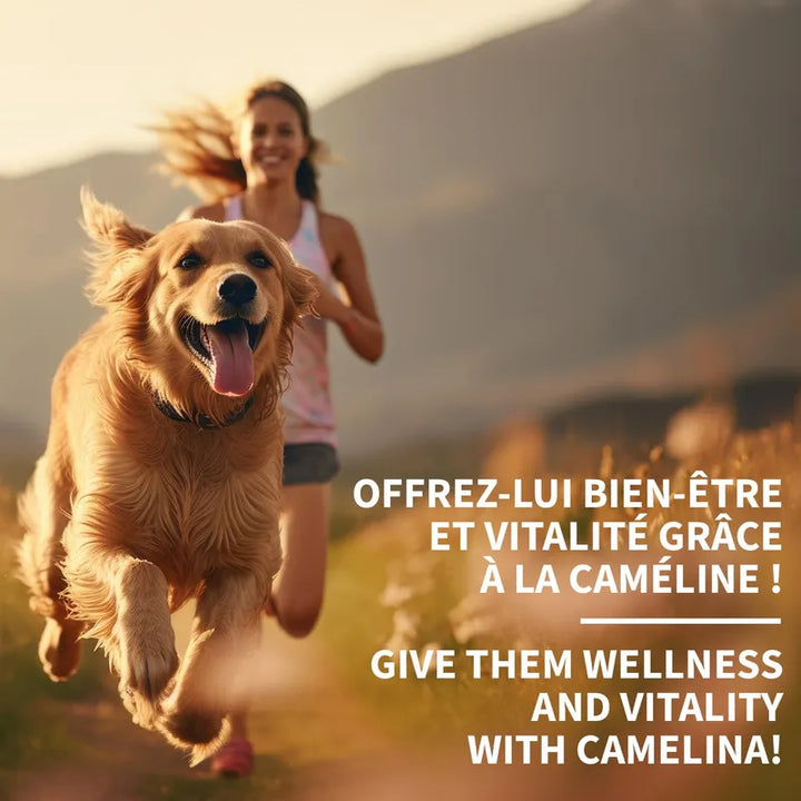 Aceite De Camelina Natural Para Mascotas 500 Ml Alto En Omeg - Imagen 6