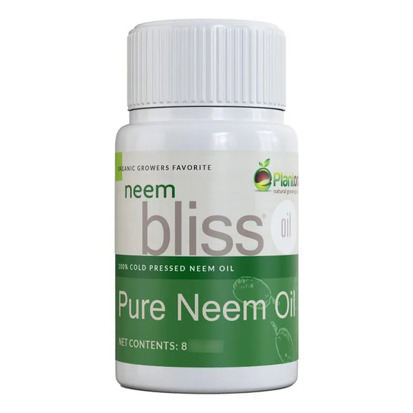 Aceite De Neem Puro Concentrado 240 Ml Para Salud Y Belleza Natural Eficaz