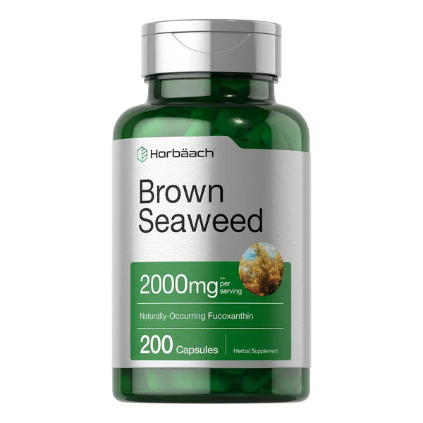 Capsulas Extracto De Algas Marrones 2000 Mg 200 Unidades Fucoxa