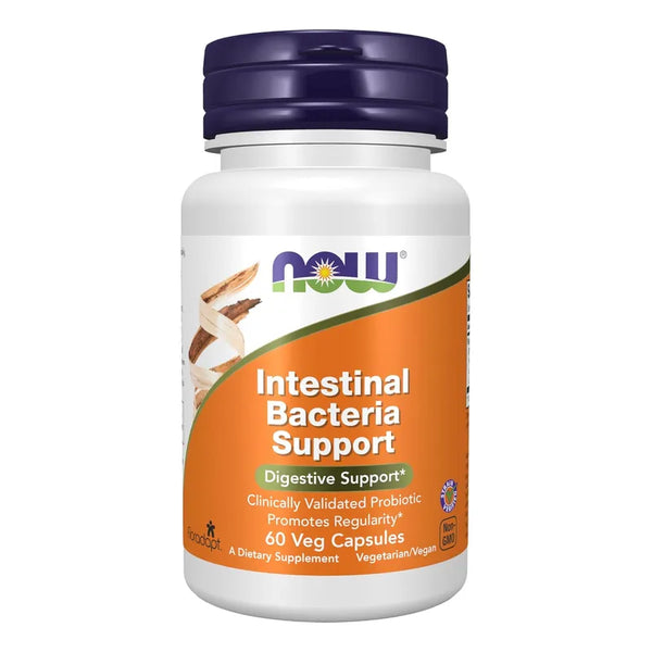 Apoyo Intestinal Probiótico Now 60 Cápsulas Vegetales Regula Digestión
