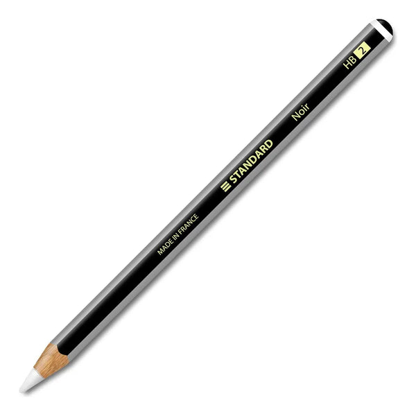Vinilo Mate Rayas Grises Negras Apple Pencil 2 Pro