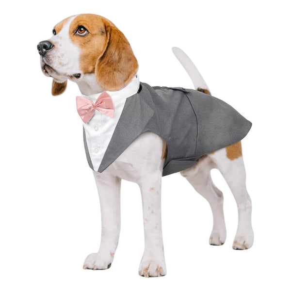 Traje Para Perro Esmoquin Eventos Reuniones Talla M Elegancia Comodidad
