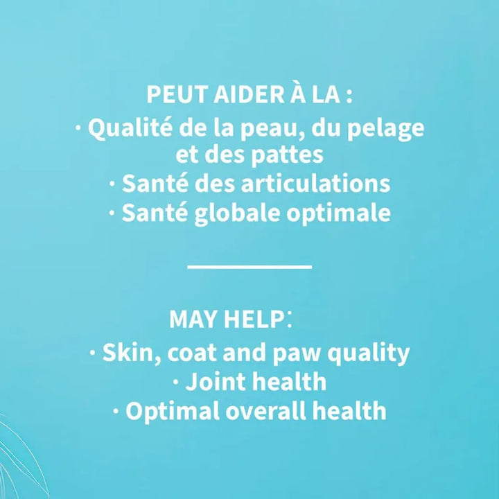 Aceite De Camelina Natural Para Mascotas 500 Ml Alto En Omeg - Imagen 4