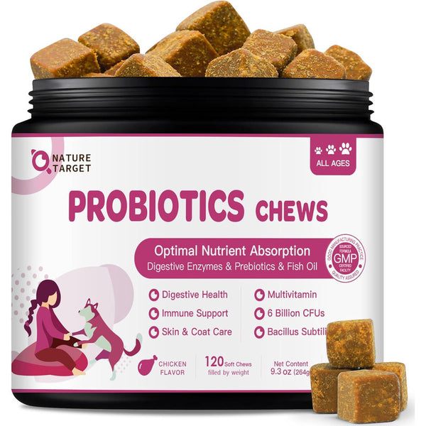 Probióticos Y Enzimas Digestivas Para Perros Cuidado De La Piel Y Salud Digestiva