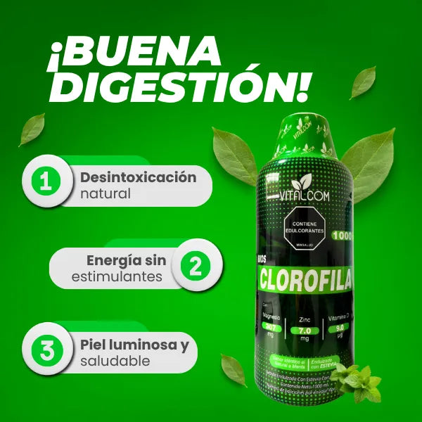 Clorofila Líquida Vitalcom 1000ml Detox Energía Piel Saludable Sabor Menta Natural